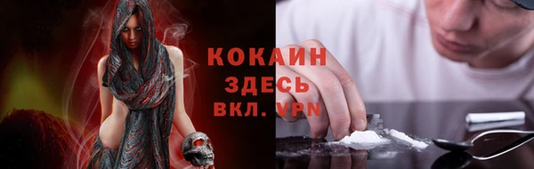 спиды Сясьстрой