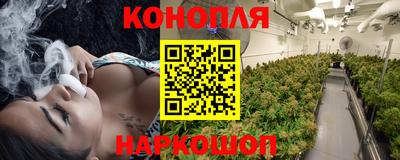 первитин Новодвинск