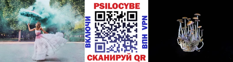 Псилоцибиновые грибы Psilocybe  мега сайт  Дагестанские Огни 