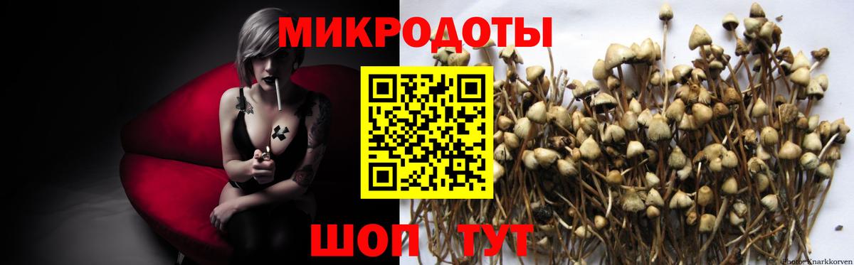 Псилоцибиновые грибы Cubensis Дагестанские Огни
